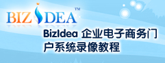 BizIdea企业级电子商务门户系统录像教程