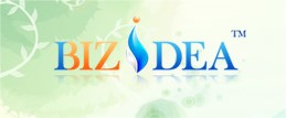 BizIdea™ 录像教程