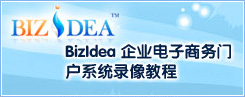 BizIdea™ 企业电子商务门户系统录像教程